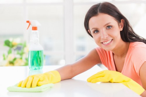 Move in cleaning checklist for a fresh home start