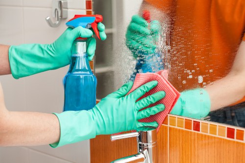 Domestic cleaning service for a tidy and healthy home