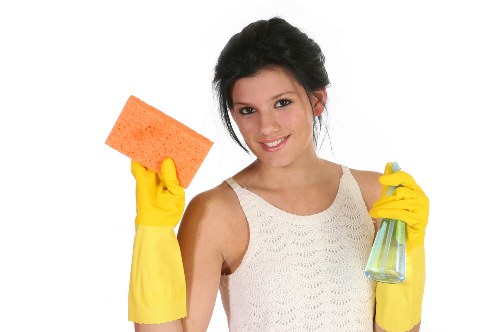 Eco-friendly domestic cleaning tools and fresh home interior