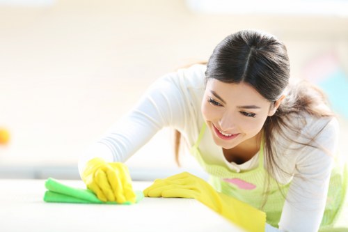Organized checklist for move out cleaning tasks