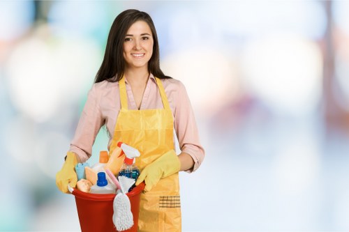 Professional deep cleaning process in a kitchen and bathroom setting