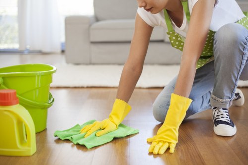 Window cleaning tools and equipment used for streak-free glass