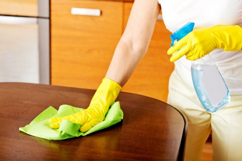 Kitchen and bathroom domestic cleaning tasks in a modern house